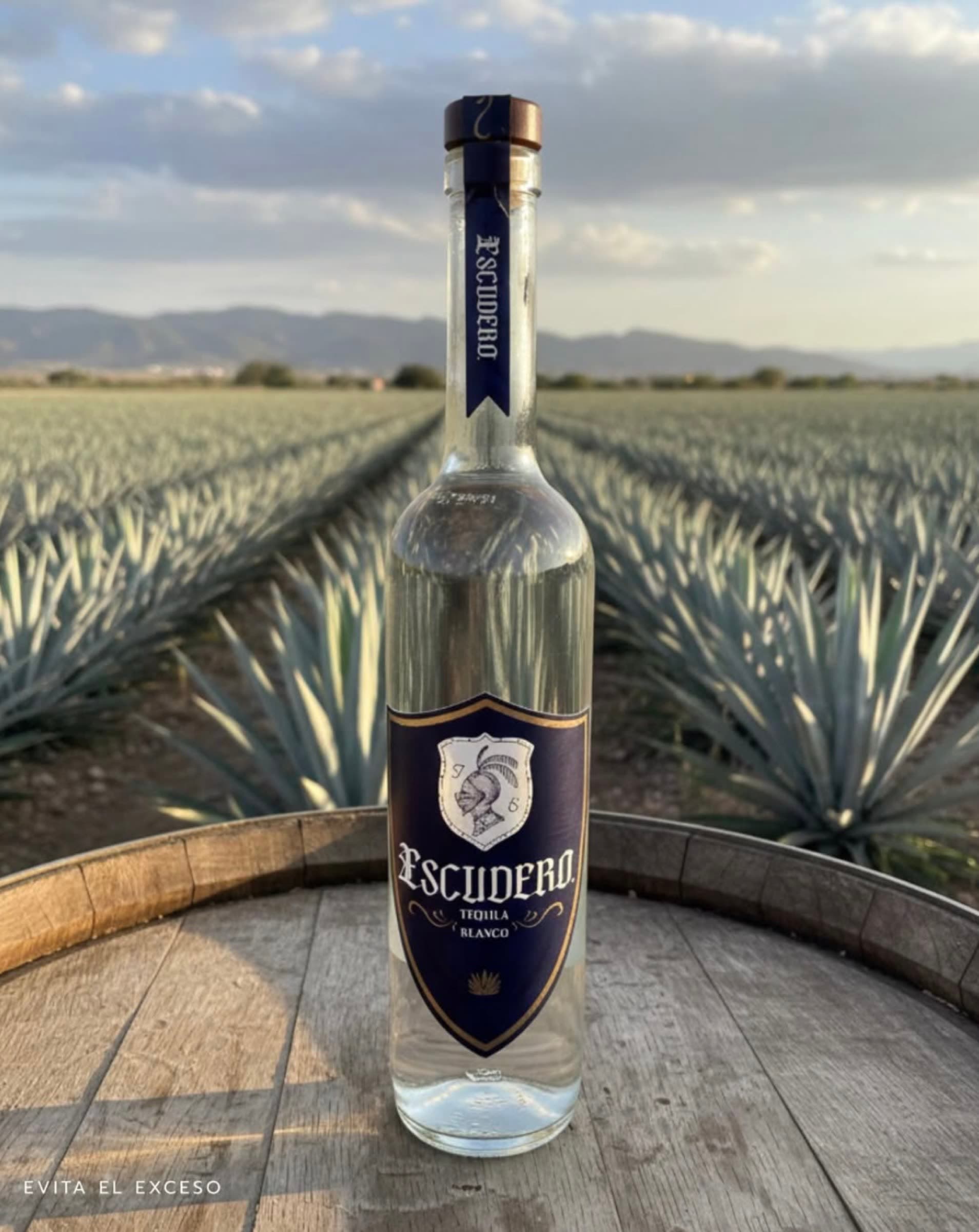 Botella de Tequila Escudero sobre barrica, con campo de agave azul al fondo